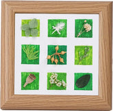 Shadow Box Frame 4.7x4.7 botanical wall art with 9 preserved plants
