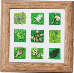 Shadow Box Frame 4.7x4.7 botanical wall art with 9 preserved plants