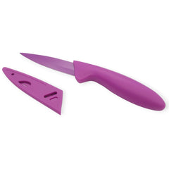 3-inch stainless steel paring knife in Handy Housewares set