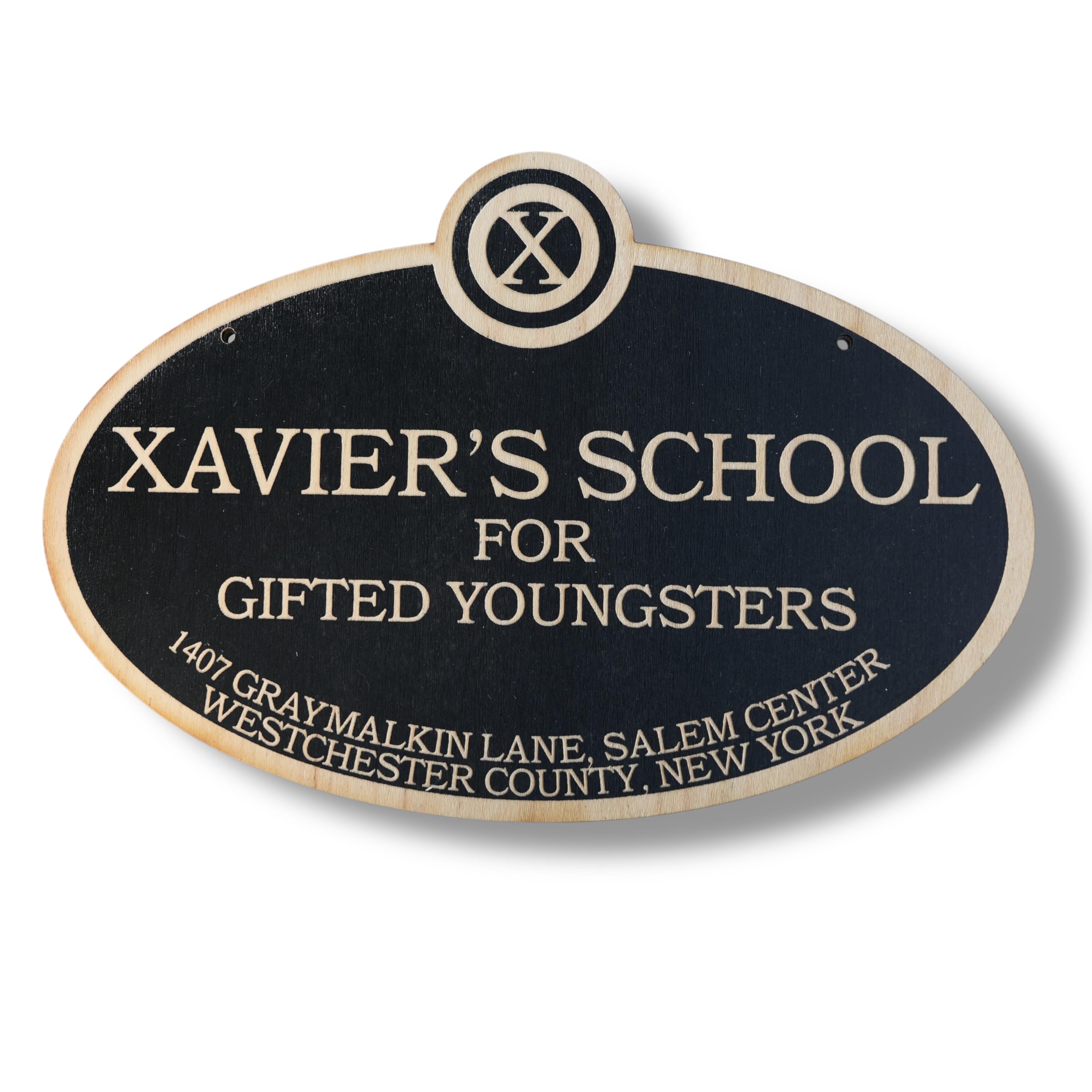 Black wood sign Xavier's School Gifted Youngsters 6x9 inches on wall