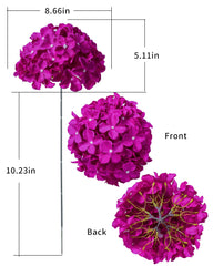 Hydrangea head shows 90 petals in bloom dark fuchsia