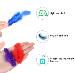 Soarer natural selected feathers for handmade projects