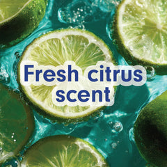 Softsoap Fresh Citrus antibacterial refill for hands