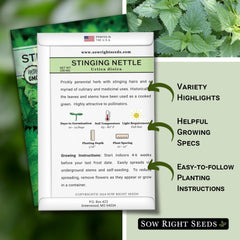 Stinging Nettle Seed packet contains about 1300 seeds