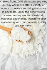 Eco-friendly soy wax melts Moonstone Celestial LLC packaging