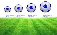 6 inch kids soccer ball by SPDTECH with pump and needle