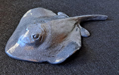 Stingray figurine decorative stone cast decor gray