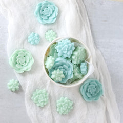 Blue green succulent coconut wax melts for home fragrance