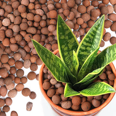 T4U Pebbles for Plants 1.5 QT packaging
