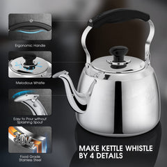 Mirror polished tea kettle 2L for stovetop use