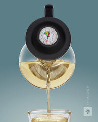 34-ounce capacity glass teapot with thermometer feature