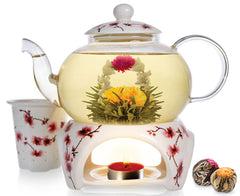 Teabloom Petite Cherry Blossom Teapot glass body