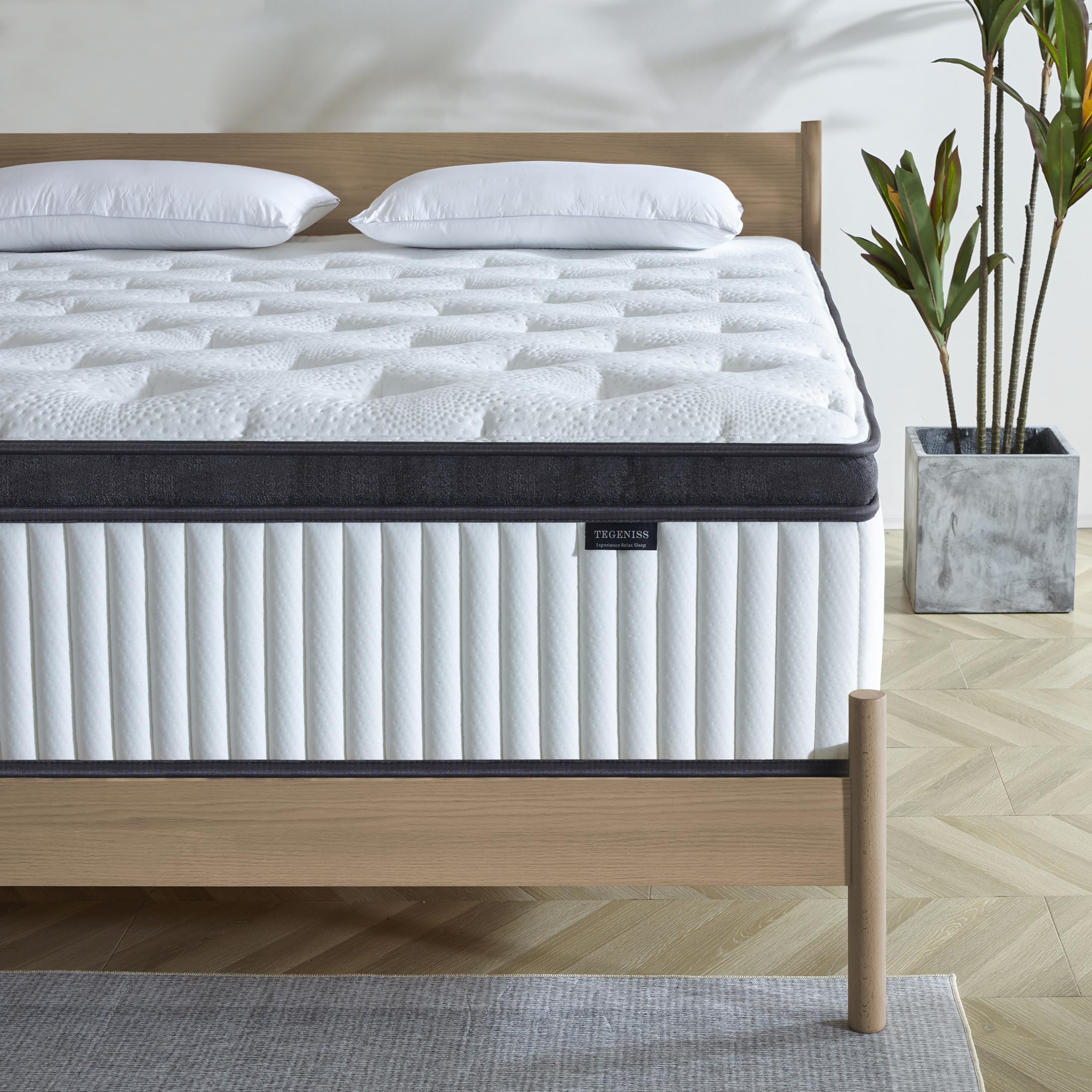 Tegeniss Queen Mattress in a box