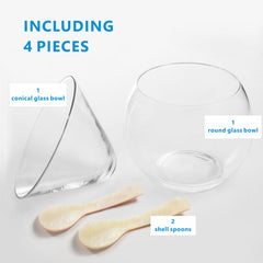 Two mother of pearl shell spoons for caviar