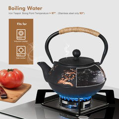 Tovacu Iron Teapot Set includes 4 cups 30 ml each
