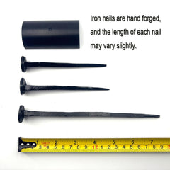 Jesus Passion Type Iron Nail close up image