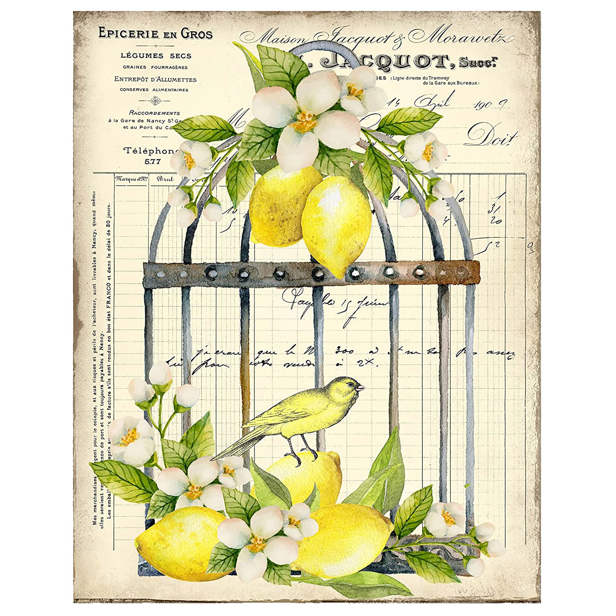 Twisted R Designs Lemon Bird Cage Wall Art Canvas Prints 11x14 wrapped canvas