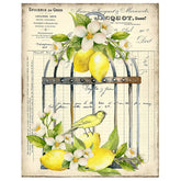 Twisted R Designs Lemon Bird Cage Wall Art Canvas Prints 11x14 wrapped canvas