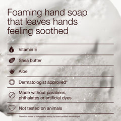 Two pack hand soap set by Bath & Body Works