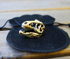 Tyrannosaurus Rex skull figurine display