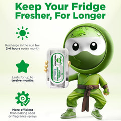 Charcoal odor absorber installed in refrigerator