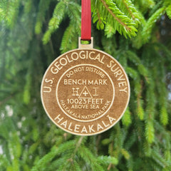 Hawaii Christmas ornament wood finish