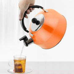 Kettle compatible with induction and gas stoves