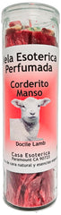 Veladora CASA ESOTERICA Rojo Red color