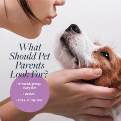 Medicated dog shampoo with coal tar and salicylic acid ingredients