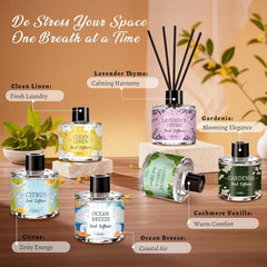 Vetuslumen 6 Pack Reed Diffuser Set ZH packaging