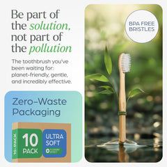 10-pack numbered toothbrushes for family use