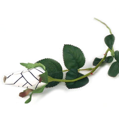 Volleyball Rose rosebud size approximately 2in by 1 3/8in for Volleyball Rose by Sports Roses