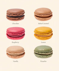 Boxed macarons variety for sharing