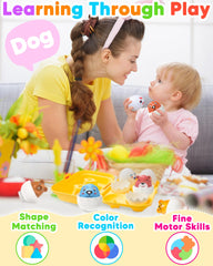 Matching sensory eggs toy set for toddlers age 1-3