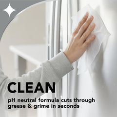 Non-abrasive formula for stainless steel cleaners image