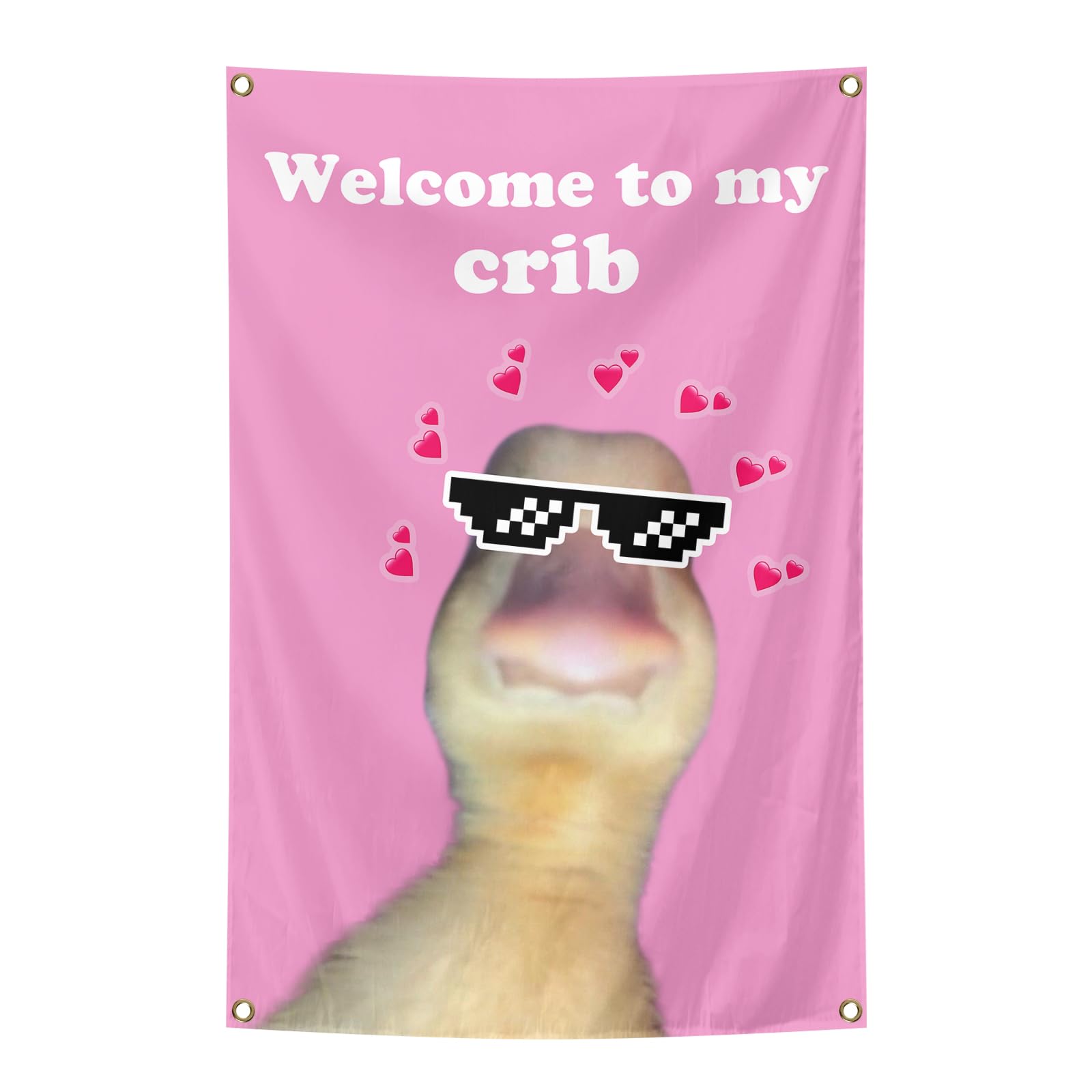 Welcome to My Crib Flag tapestry 2x3 ft on wall