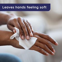 24-count Wet Ones Singles Hand Wipes pack