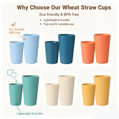 Six 20oz adult size cups in the set