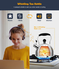 Stovetop whistling tea kettle in silver