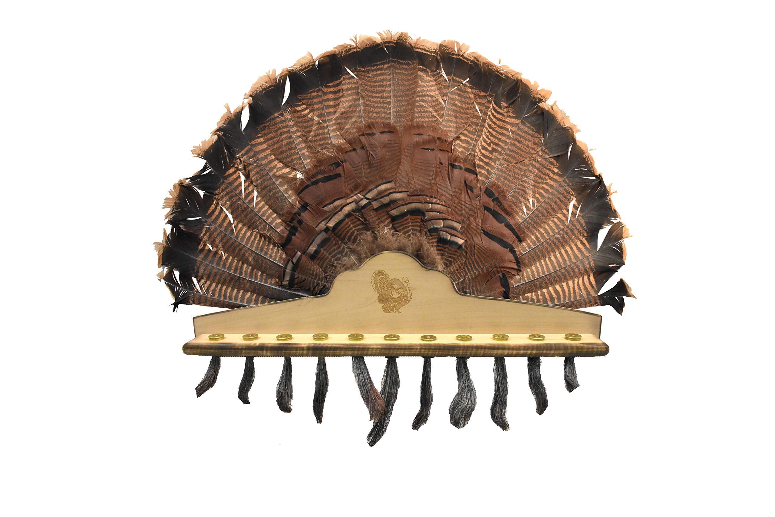Whitetail Woodcrafters turkey beard plaque with fan mount hardwood finish