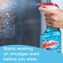 Dissolve Pod included with Windex refill