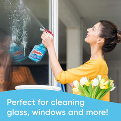 Windex glass cleaner refill versatile for mirrors and chrome