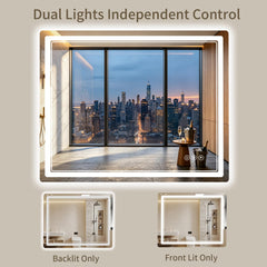 Backlit and front-lit illumination on WISSMIELS mirror 30x36