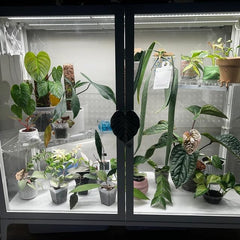 Wrap shape acrylic shelf for Fabrikor greenhouse cabinets