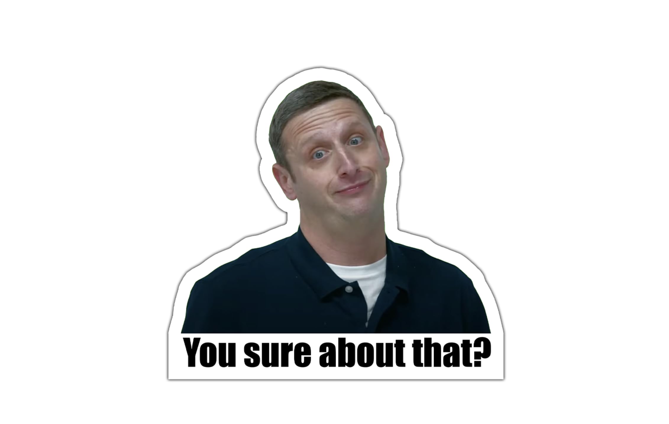 You Sure About That Tim Robinson ITYSL magnet for car and refrigerator