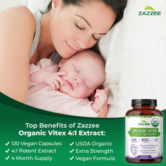 Zazzee Vitex Chasteberry vegetarian capsules 120 count