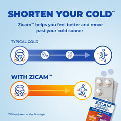 Zicam RapidMelts nighttime tablets grape flavor for night use
