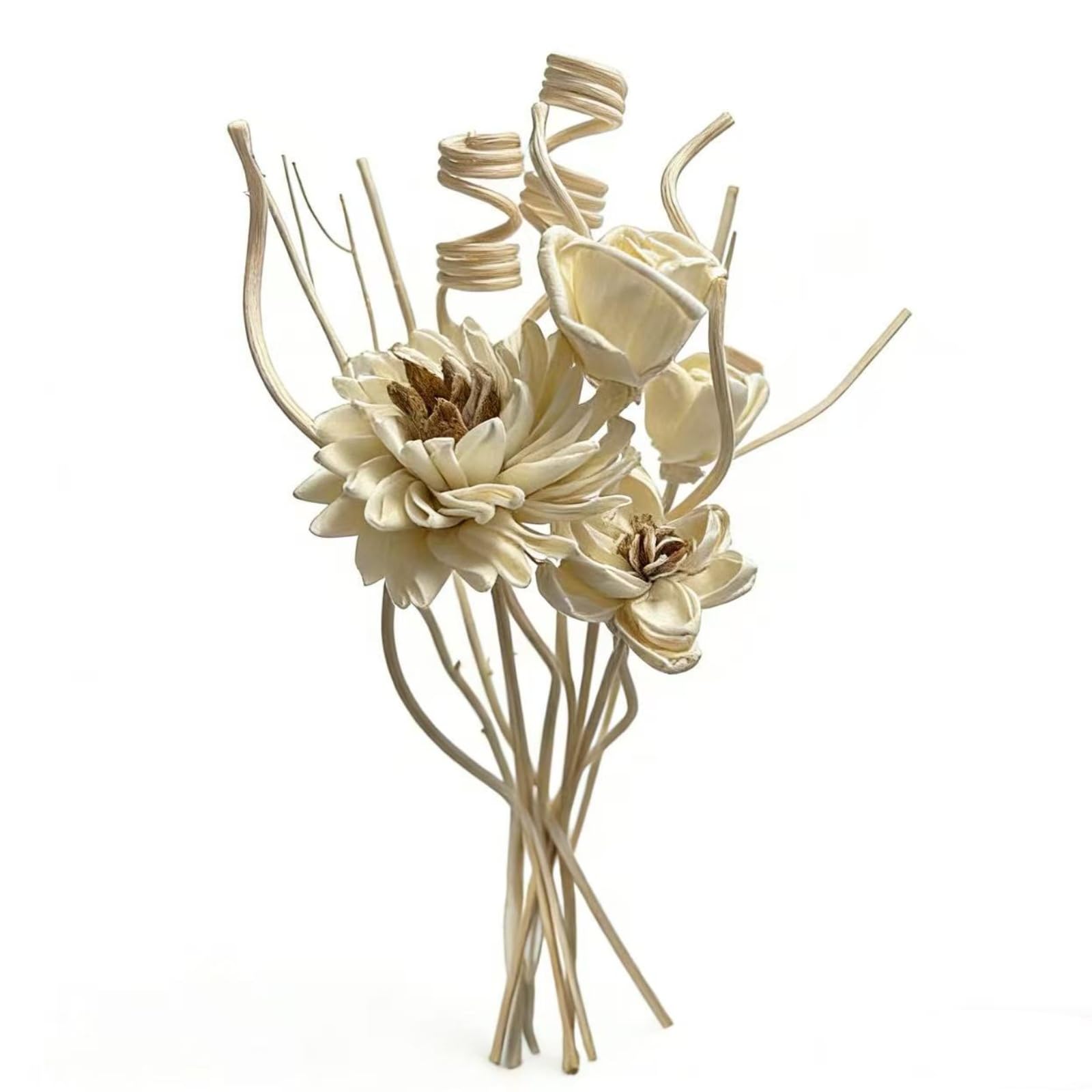 Zorbdra Reed Diffuser Flower Sticks 12 piece set with toppers