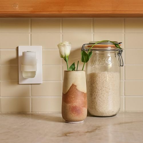 1-warmer-and-067-fl-oz-refill-diffuser