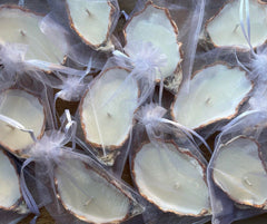 10 piece set of oyster shell candles for weddings